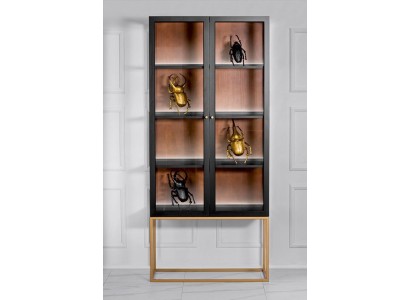 Витринный шкаф шкафы витрины деревянные стеклянные мебель дизайн гостиная стеклянный шкаф