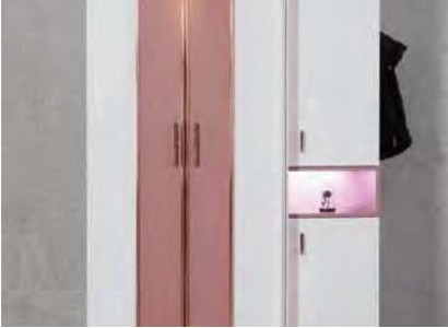 Шкаф для одежды Шкаф Спальня Шкафы Двухцветные Подростковые гардеробы